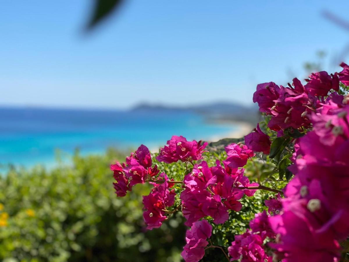 Laura Holiday home Costa Rei
